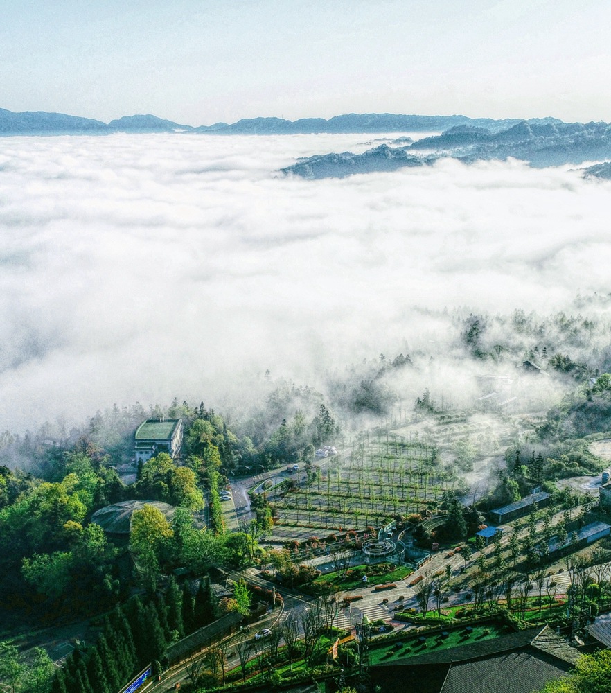 CA88(中国)唯一官方网站入口